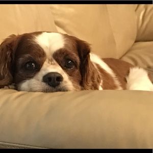 Meet your Posher, Mindy